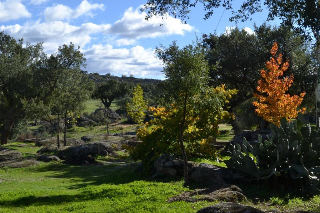 Finca El Cortinal Valencia de Alcantara Bilik gambar